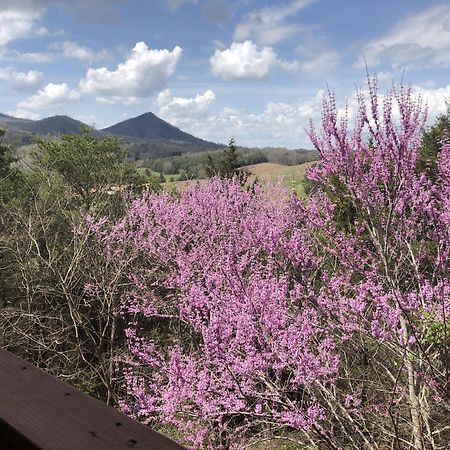 Bear Country Cabin Sevierville Ngoại thất bức ảnh