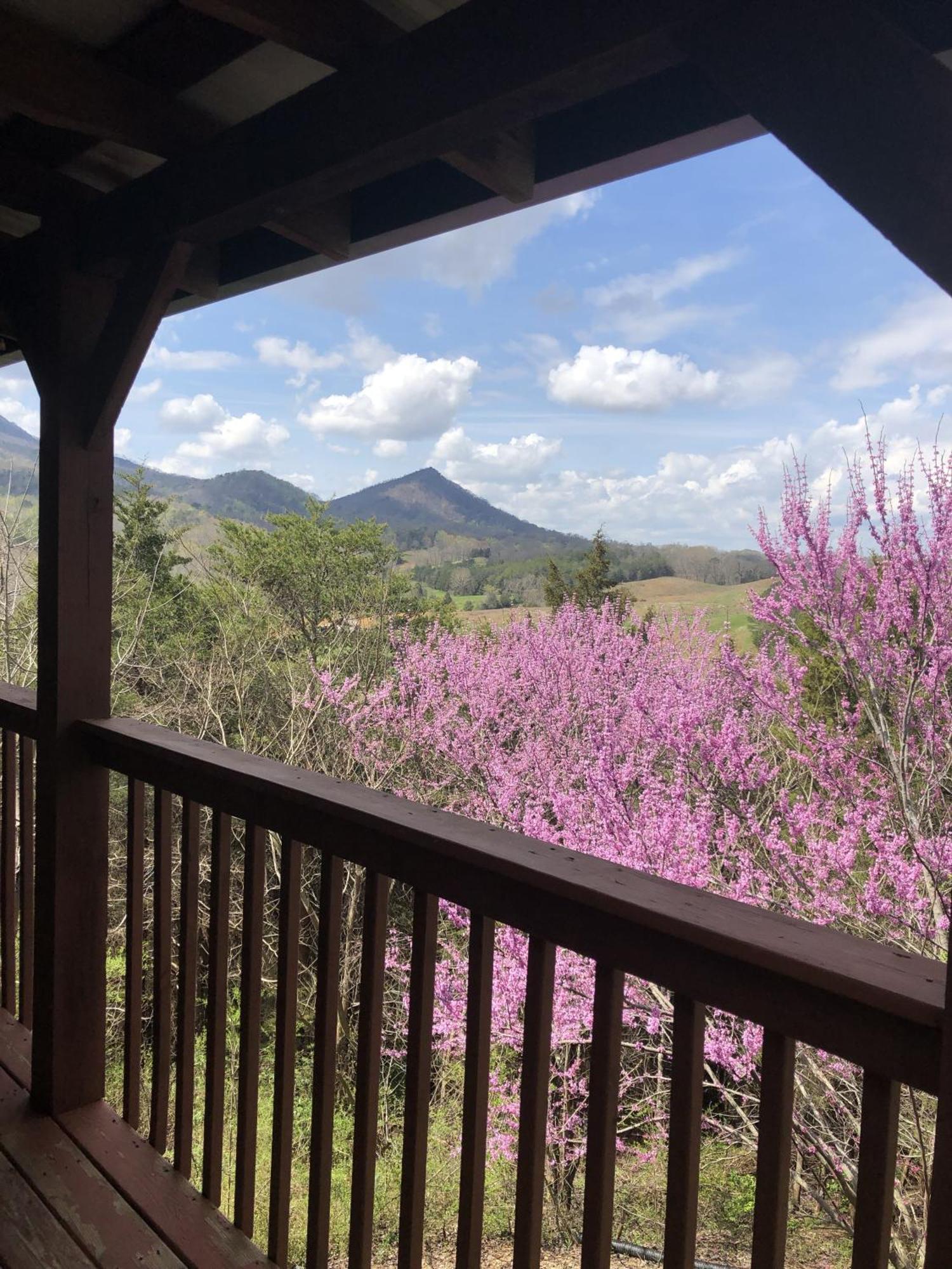 Bear Country Cabin Sevierville Ngoại thất bức ảnh